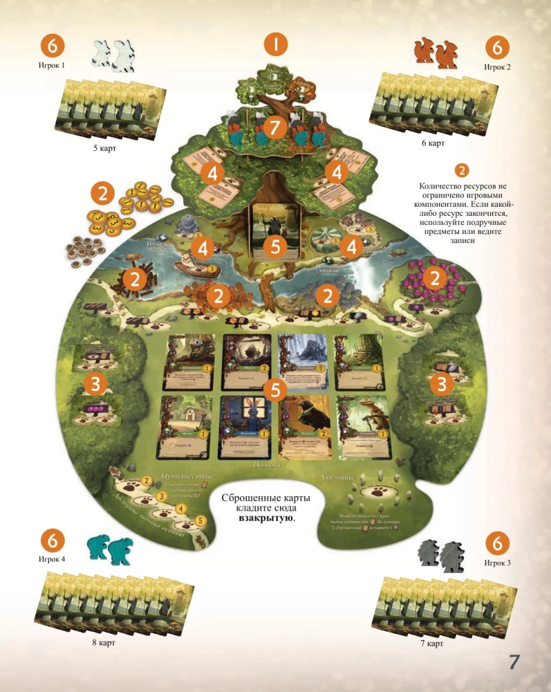 Board Game - Everdell